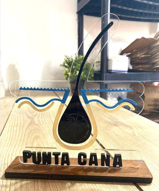 Placas de reconocimiento - Felt Craft RD