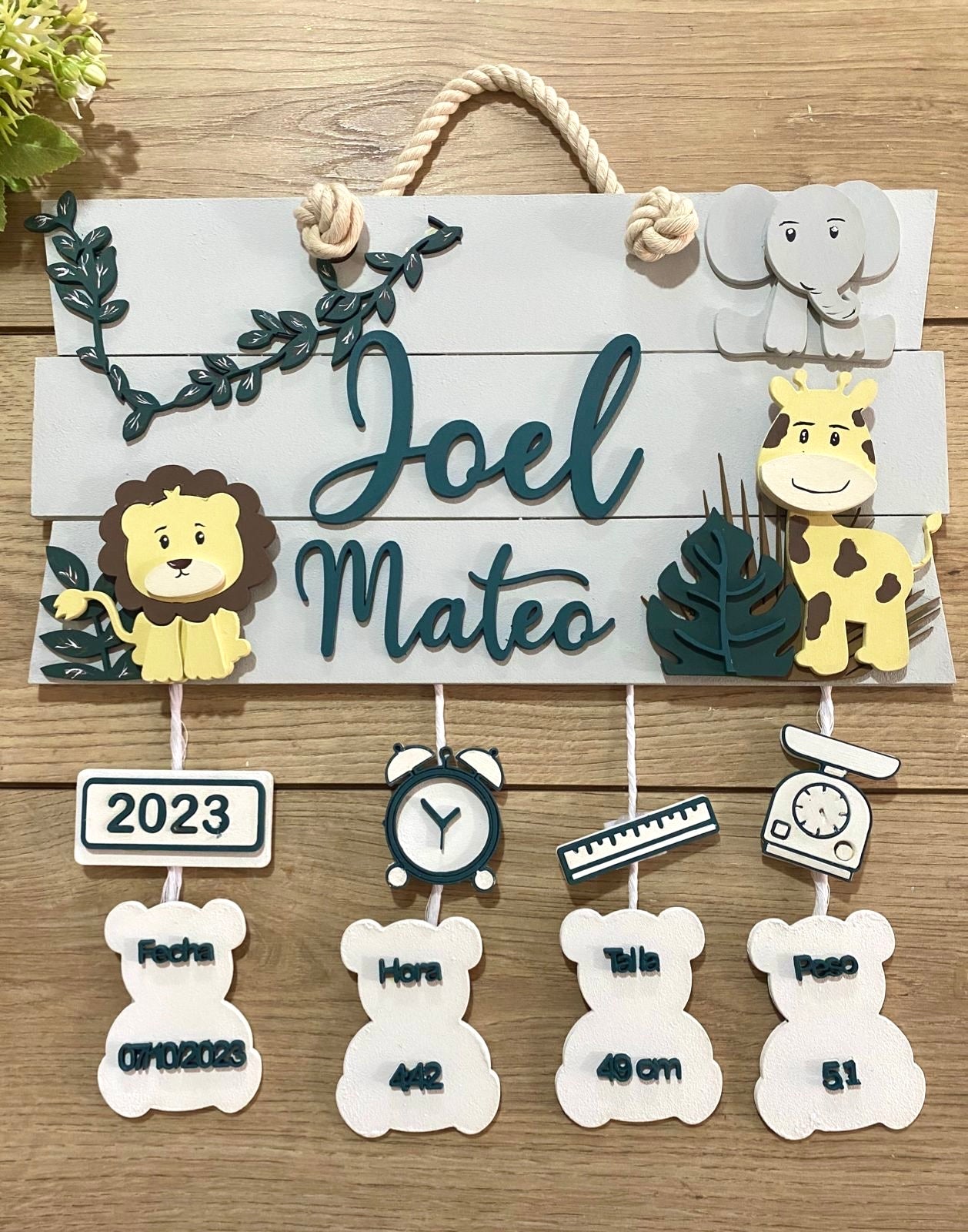 Safari Nursery Kid Room Decor Baby Boy Hanger