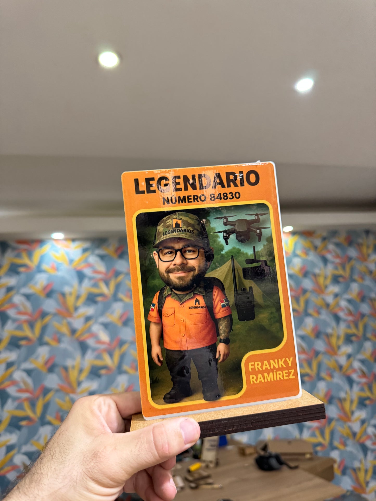 Placas de reconocimientos