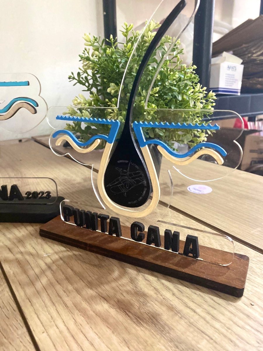 Reconocimiento Gota - Felt Craft RD