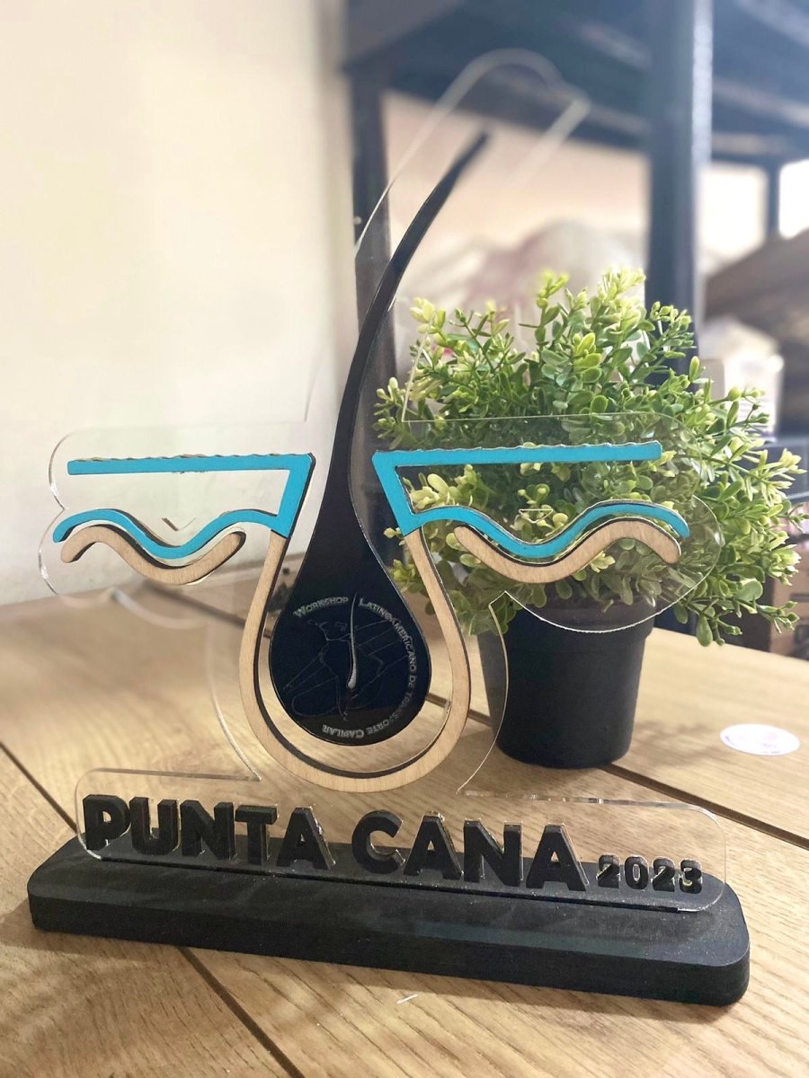 Reconocimiento Gota - Felt Craft RD