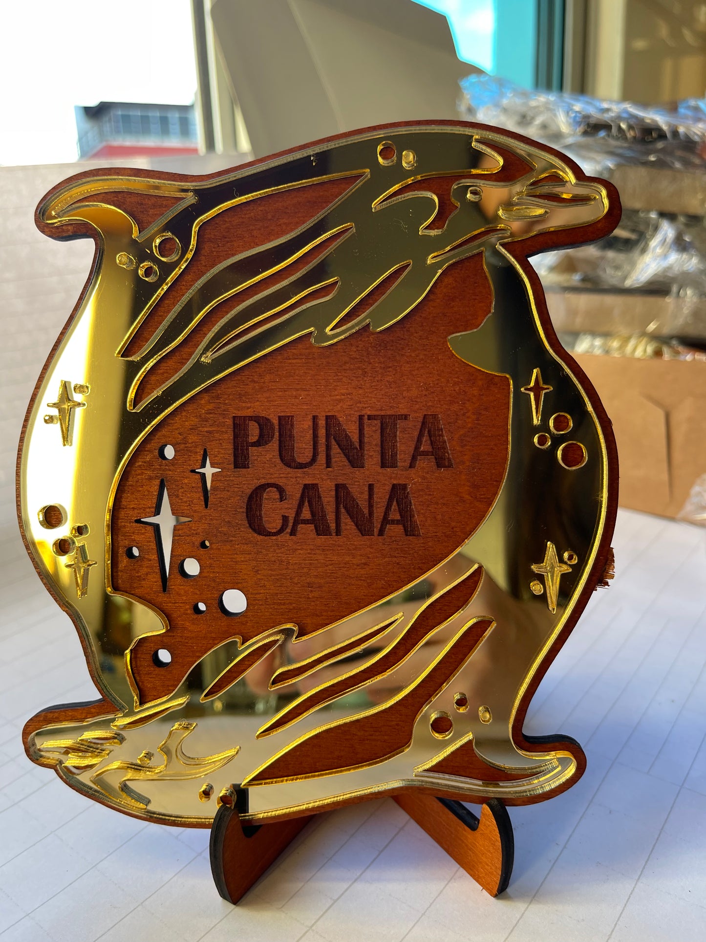 Pisa Papel Punta Cana Dolphins