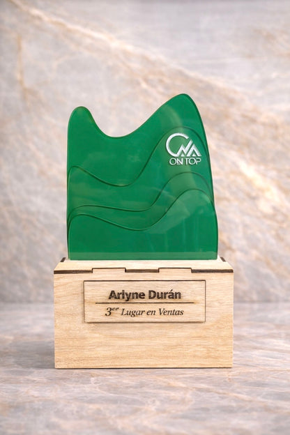 Placa de reconocimiento personalizado corporativa