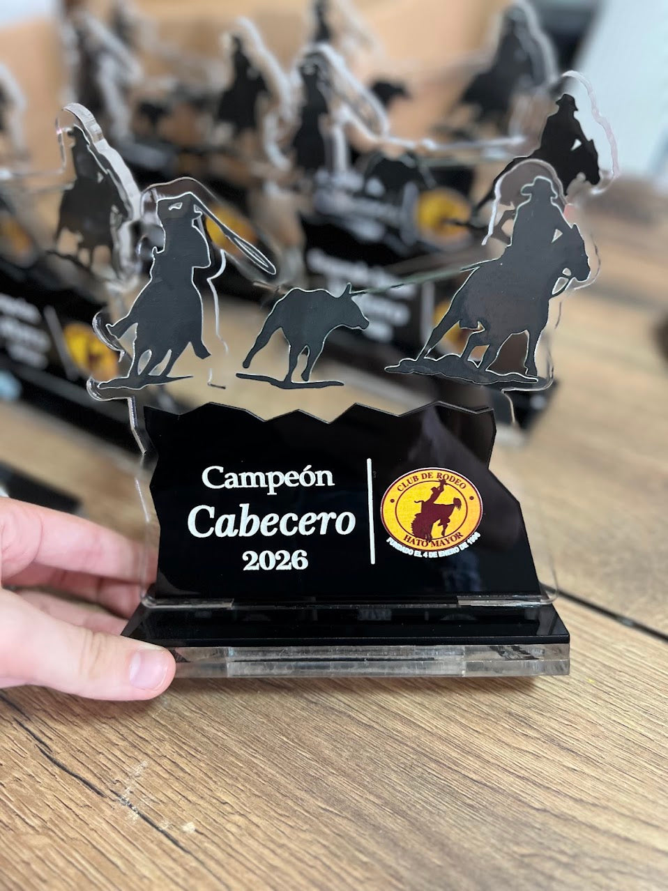 Trofeo de reconocimiento personalizado en acrilico
