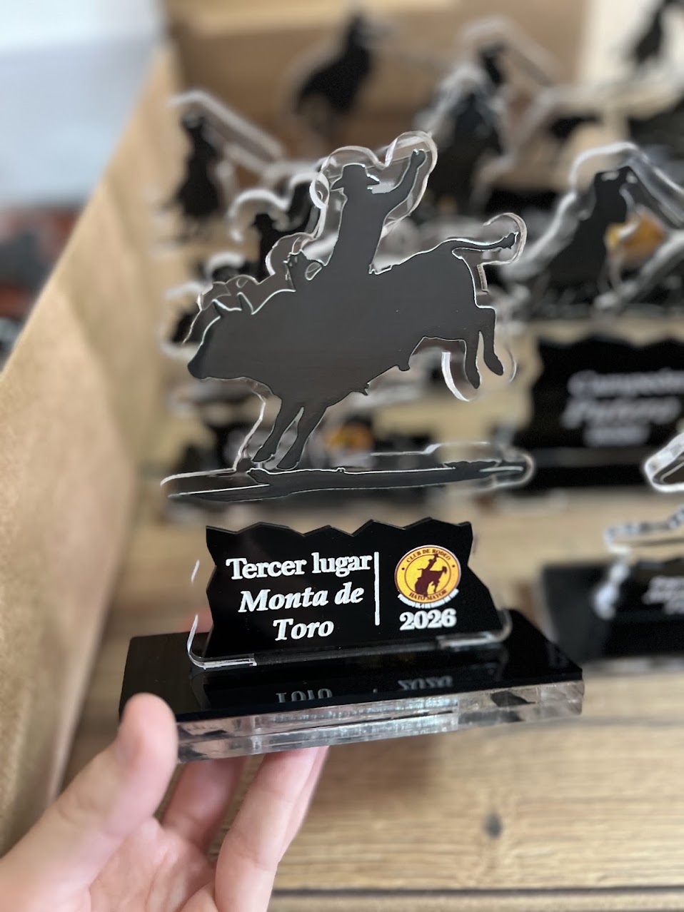 Trofeo de reconocimiento personalizado en acrilico