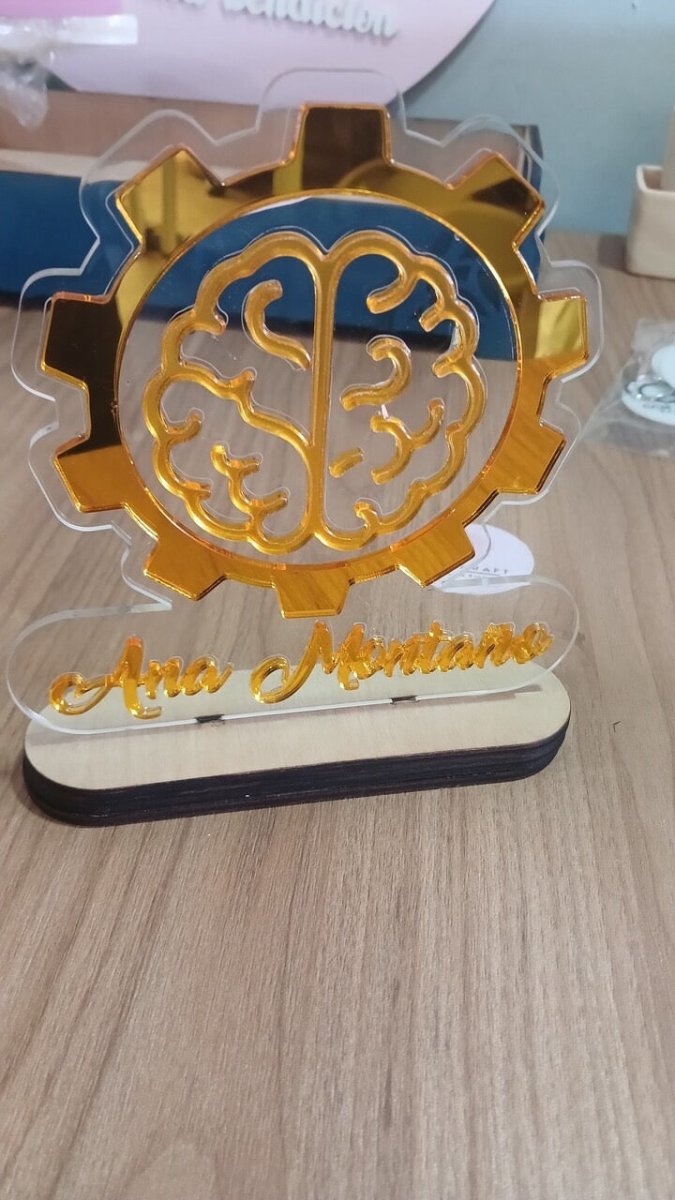 Placas de reconocimiento empresarial - Felt Craft RD