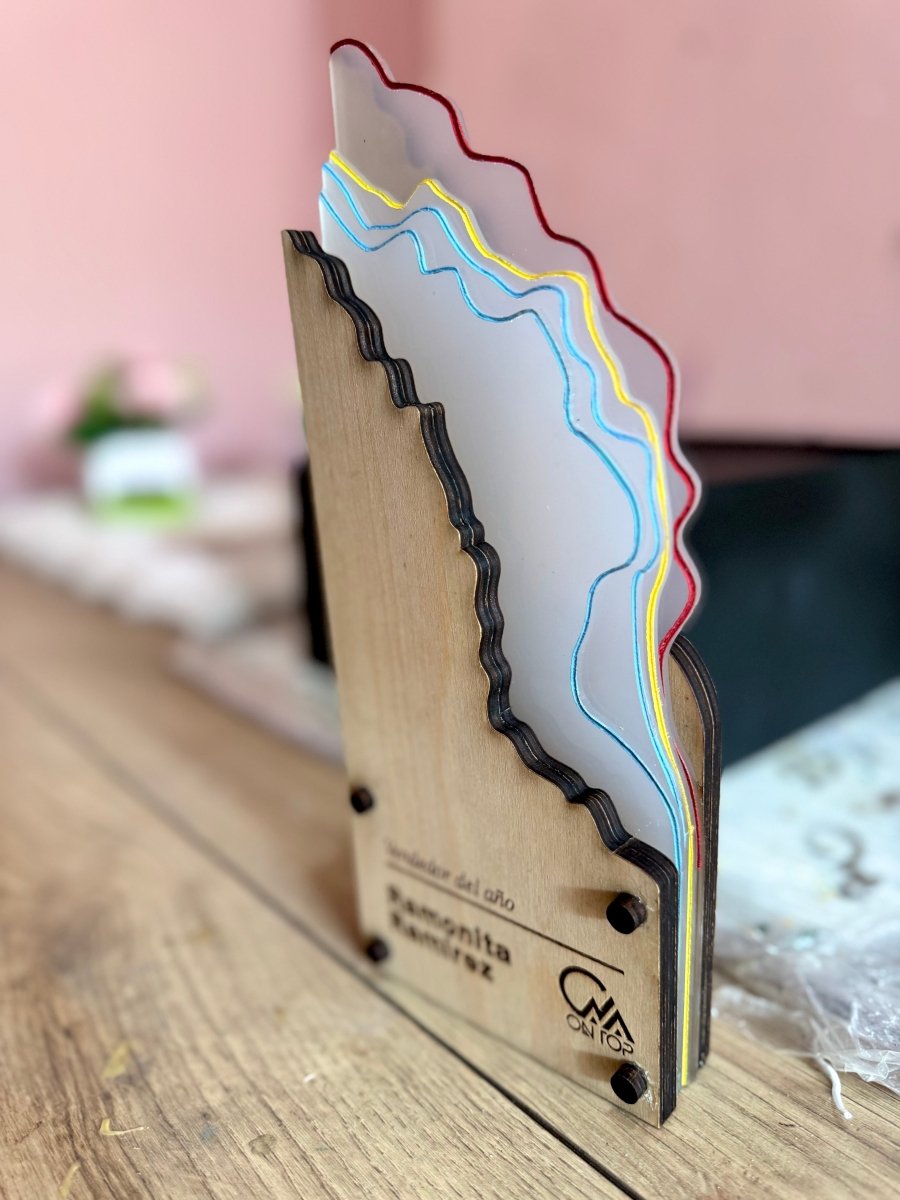 Reconocimiento personalizado - Felt Craft RD