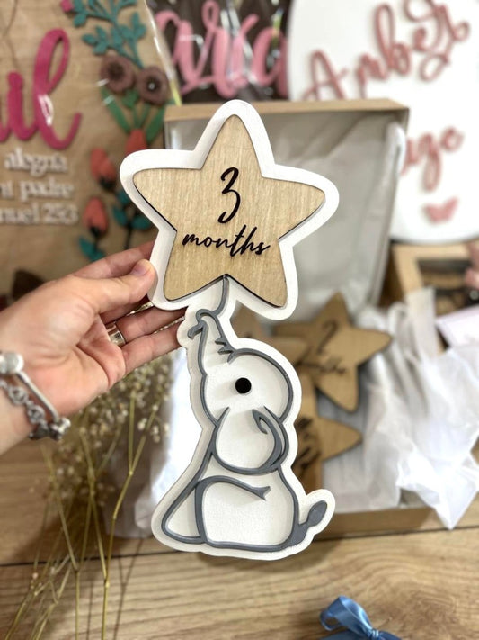 Tags de meses nacimiento bebe - Felt Craft RD